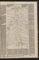 fasciculus_medicinae1513_0025