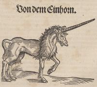 Gessner's Unicorn