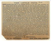 The Little Pets [from verso]