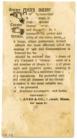 Ayer's Cherry Pectoral Cures Colds, Coughs & all Diseases of the Throat and Lungs