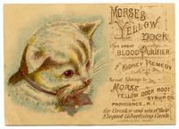 Morse's Yellow Dock the Great Blood Purifier and Kidney Remedy