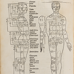 De symmetria partium in rectis formis humanorum