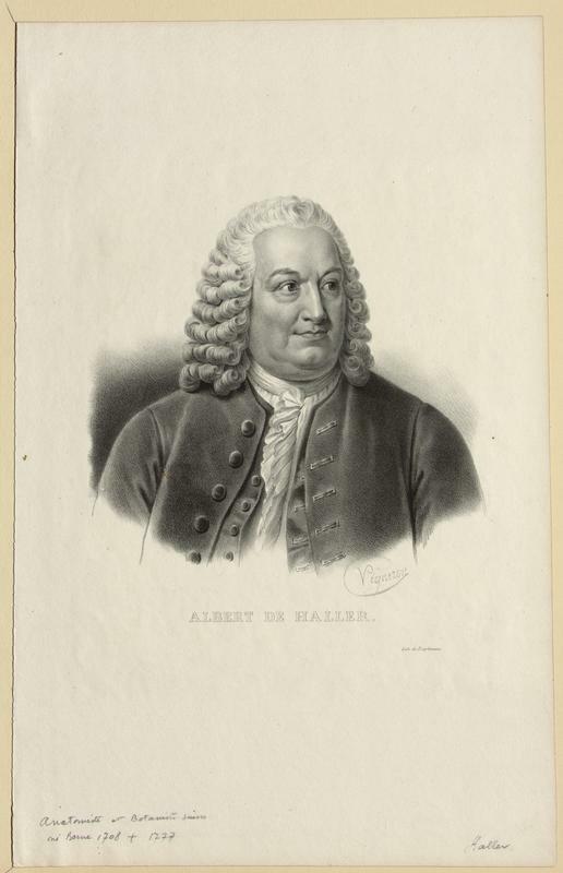 Haller, Albrecht von