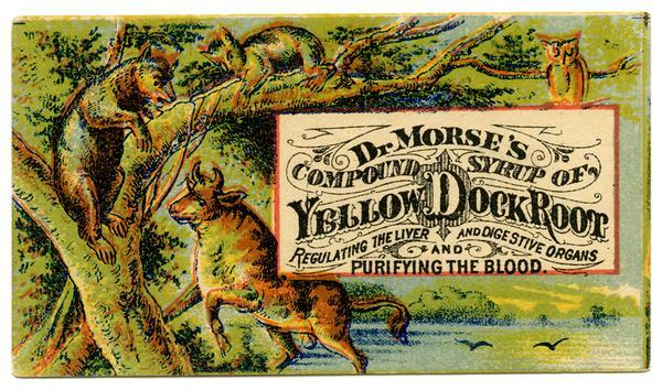 Dr. Morse's Compound Syrup of Yellow Dock Root Regulating the Liver and Digestive Organs and Purifying the Blood