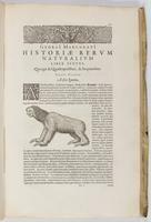 Historae Rerum Naturalium, Liber Sextus, Qui agit Quadrupedibus, & Serpentibus