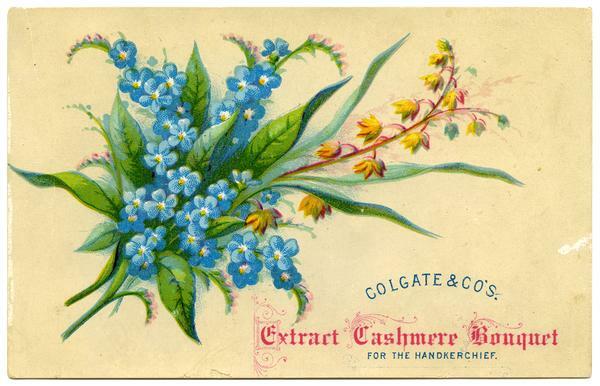 Colgate & Co.'s Extract Cashmere Bouquet for the Handkerchief