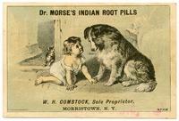Dr. Morse's Indian Root Pills