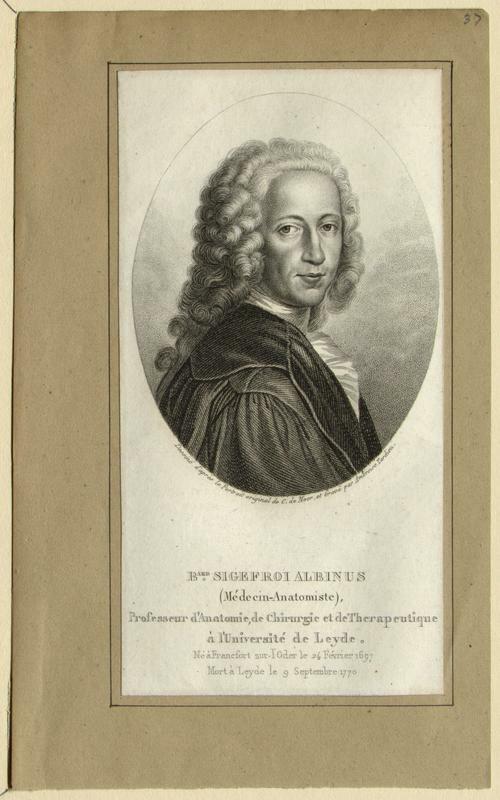 Albinus, Bernhard Siegfried