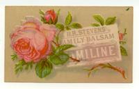 H.R. Stevens' Family Balsam