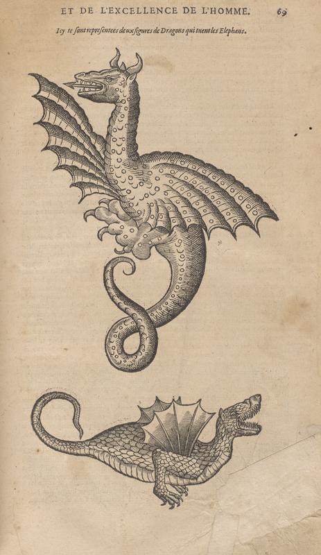 Two Dragons from Ambroise Paré