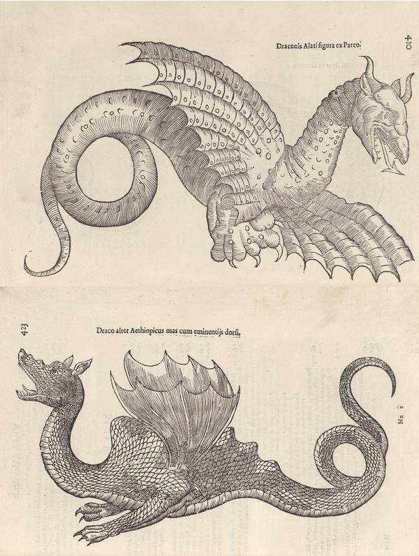 Aldrovandi's Dragons