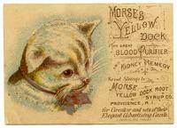 Morse's Yellow Dock the Great Blood Purifier and Kidney Remedy 
