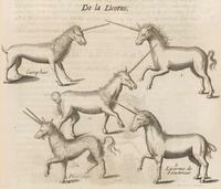 Pomet's Unicorns