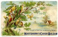 Your Cough or Cold can be Cured by Using Hartshorn's Cough Balsam