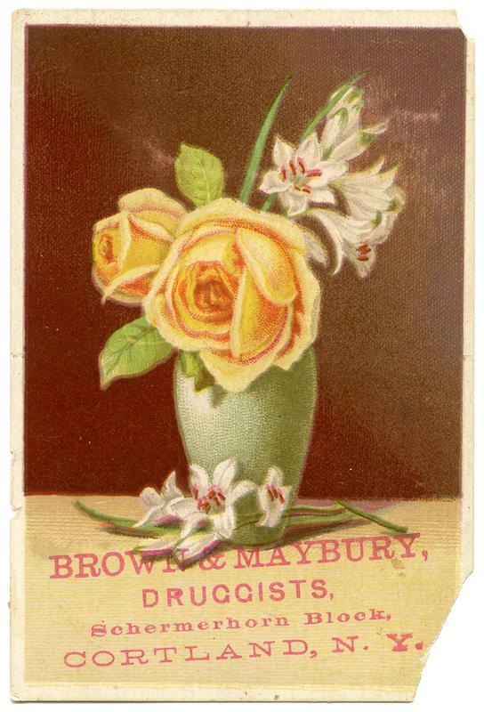 Brown & Maybury, Druggists