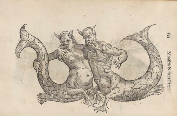 Aldrovandi's Mer-Couple