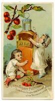 Ayer's Cherry Pectoral Cures Colds, Coughs & all Diseases of the Throat and Lungs