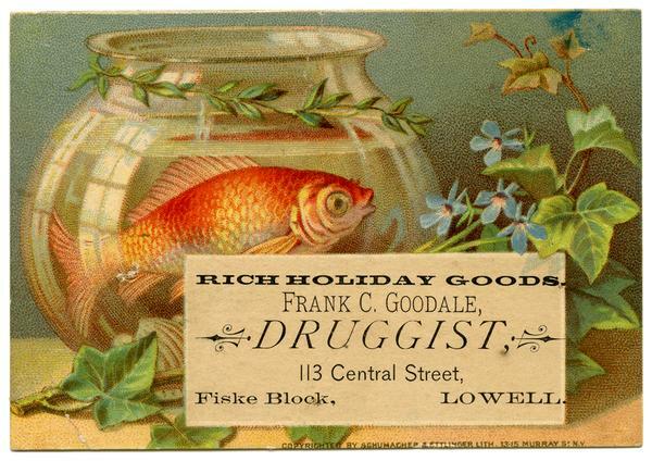Rich Holiday Goods: Frank C. Goodale, Druggist