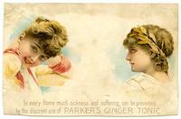 In every Home much sickness and suffering can be prevented by the discreet use of Parker's Ginger Tonic