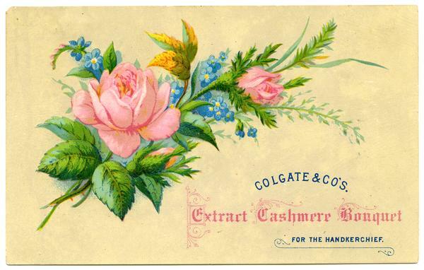 Colgate & Co.'s Extract Cashmere Bouquet for the Handkerchief
