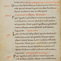Apicius [De re culinaria Libri I-IX]
