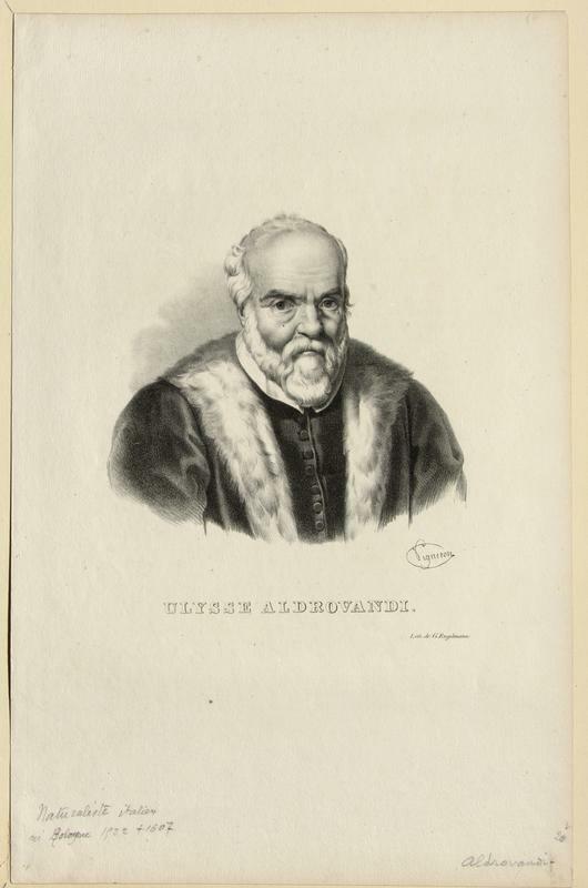 Aldrovandi, Ulisse