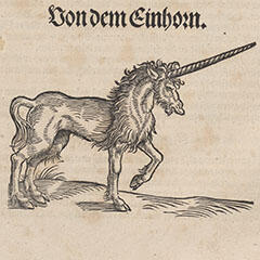 Gessner's Unicorn