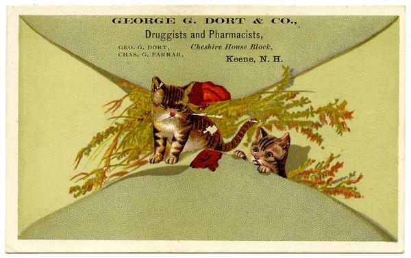 George G. Dort & Co., Druggists and Pharmacists