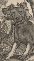 Kircher's Three-headed Dog